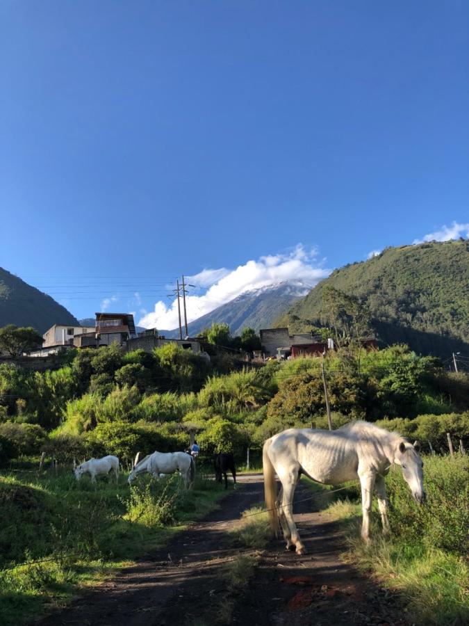 Premium Holiday Cabin - Spectacular Tungurahua Volcano View Baños Kültér fotó